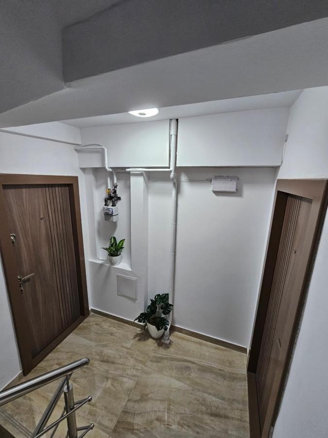 Didi Apartament Craiova Kültér fotó