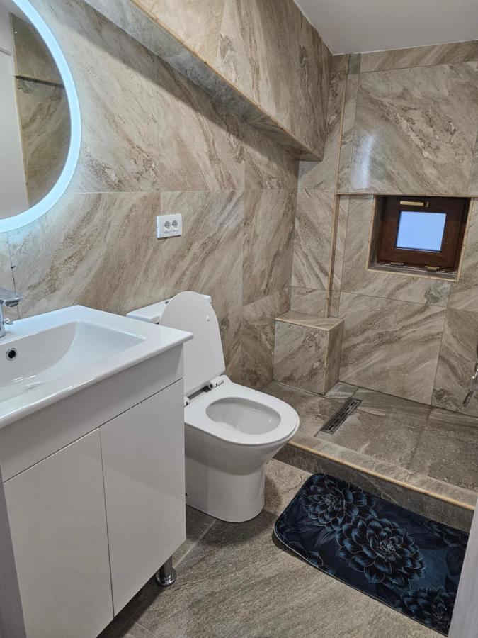 Didi Apartament Craiova Kültér fotó